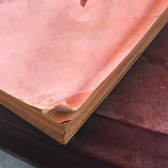 Spiegel 1954 Pink Catalog - Picture 14 of 14